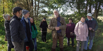 Goldener-Oktober-Spaziergang durch das Moor