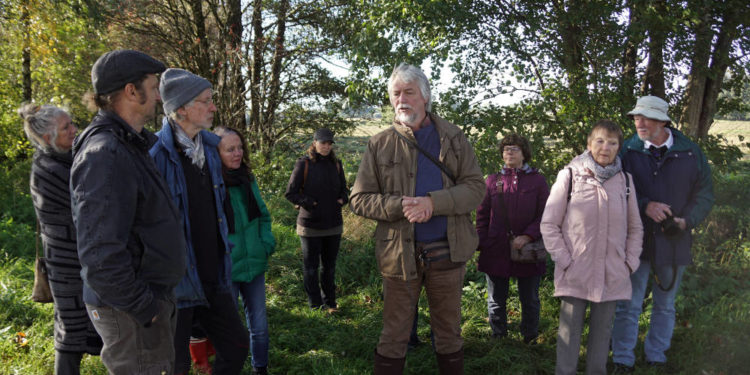 Goldener-Oktober-Spaziergang durch das Moor