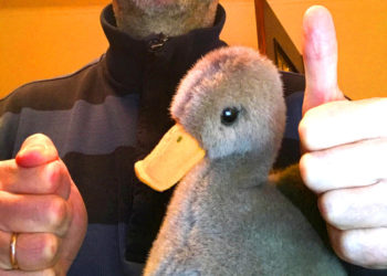 Sportlicher erster Advent in Ratzeburg