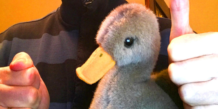 Sportlicher erster Advent in Ratzeburg