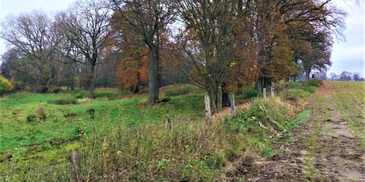 GRÜNE kritisieren das Vorgehen des Bau-, Wege- und Umweltausschuss zum möglichen Gewerbegebiet an der Büchener Steinau