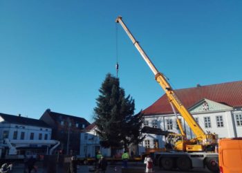 Ein Weihnachtsbaum ziert den Ratzeburger Marktplatz