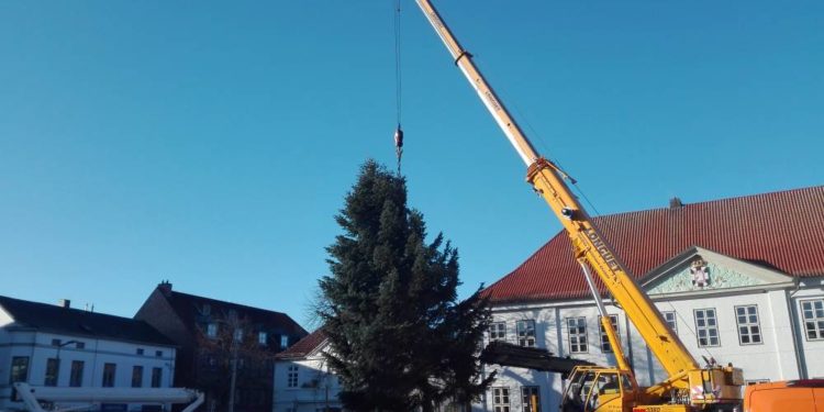 Ein Weihnachtsbaum ziert den Ratzeburger Marktplatz