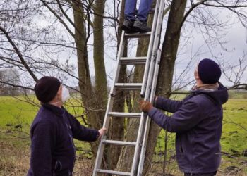 Einladung zur herbstlichen Reinigung unserer Nisthilfen