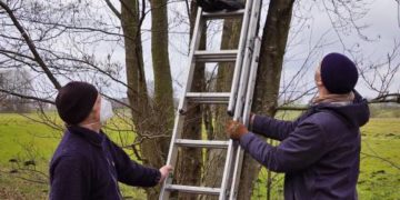 Einladung zur herbstlichen Reinigung unserer Nisthilfen