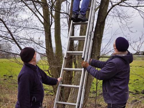 Einladung zur herbstlichen Reinigung unserer Nisthilfen