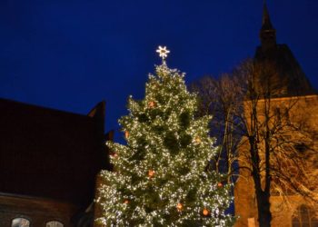 Punschen unter Norddeutschlands schönstem Weihnachtsbaum