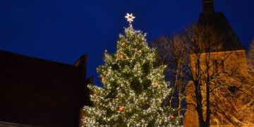 Punschen unter Norddeutschlands schönstem Weihnachtsbaum