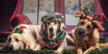Weihnachts-und Geschenkewerkstatt in der Gemeinschaftsschule Mölln