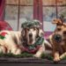 Weihnachts-und Geschenkewerkstatt in der Gemeinschaftsschule Mölln