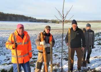 2. Baumpflanzaktion in Steinhorst