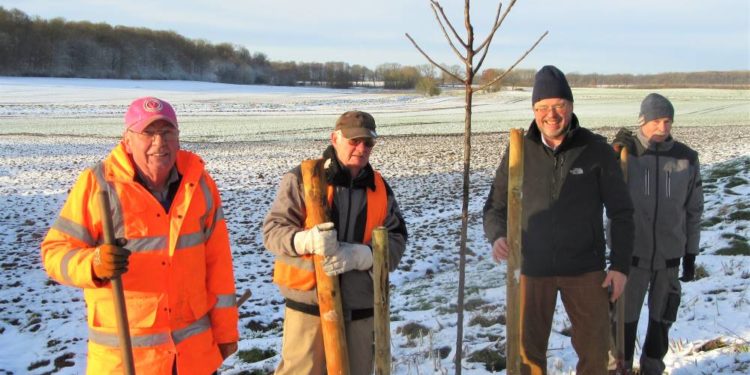 2. Baumpflanzaktion in Steinhorst