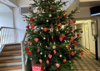 Herzenswünsche am Weihnachtsbaum