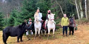 Pferdeweihnacht in Mustin