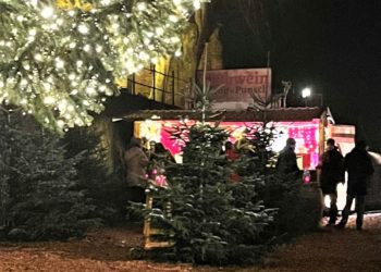 Round Table 126 Ratzeburg in diesem Jahr wieder auf dem Möllner Weihnachtsmarkt aktiv