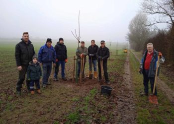 Herbstpflanzung in Kühsen