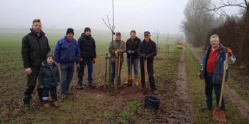 Herbstpflanzung in Kühsen