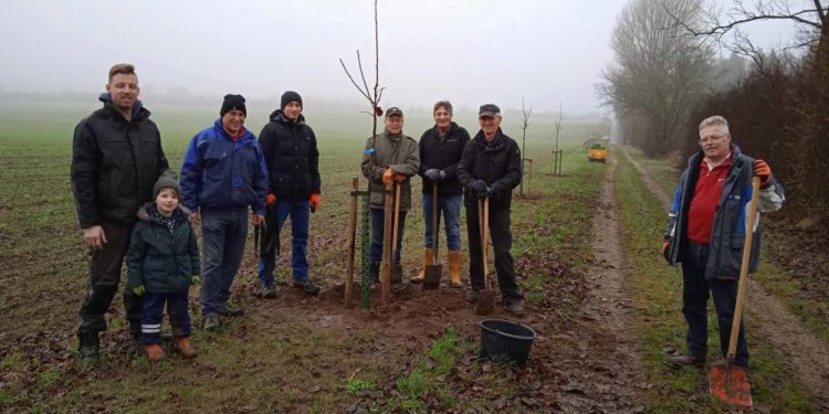 Herbstpflanzung in Kühsen