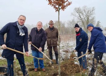 Förderverein Biosphäre Schaalsee den „Baum des Jahres 2022“