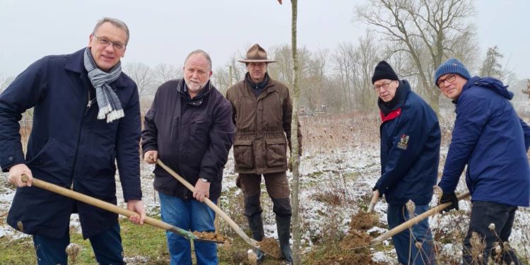 Förderverein Biosphäre Schaalsee den „Baum des Jahres 2022“