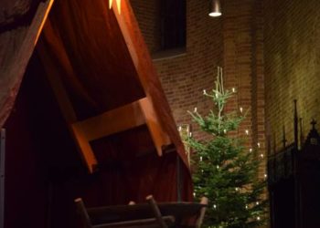 Andersens Märchen vom Tannenbaum im Dom