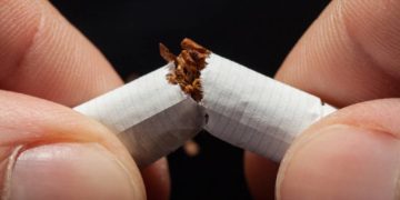 Im Herzogtum Lauenburg sind rund 7.000 Menschen an der Lunge erkrankt