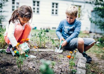 Kitas und Grundschulen nachhaltig gestalten
