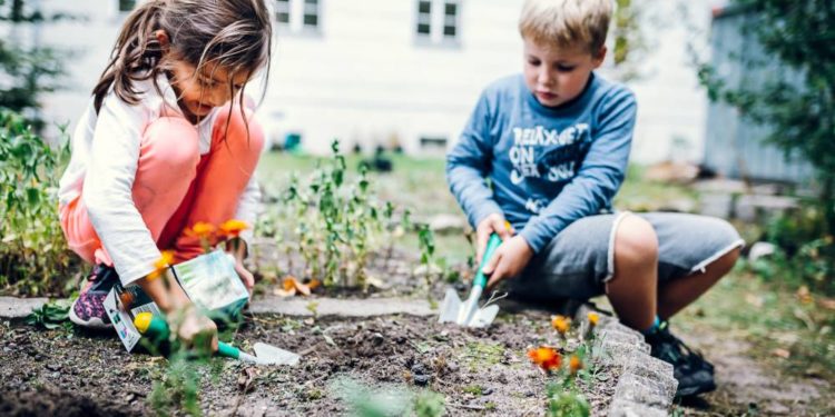 Kitas und Grundschulen nachhaltig gestalten