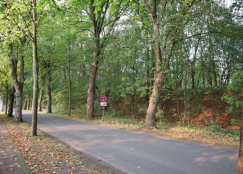 Verkehrsbehinderungen im Schulweg
