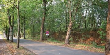 Verkehrsbehinderungen im Schulweg
