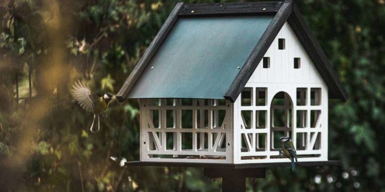 Klimaschutz für Wohnungen im Herzogtum kostet 454 Millionen Euro pro Jahr