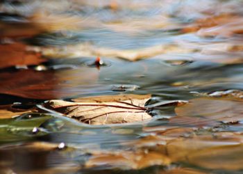 Vermisster Jogger aufgefunden