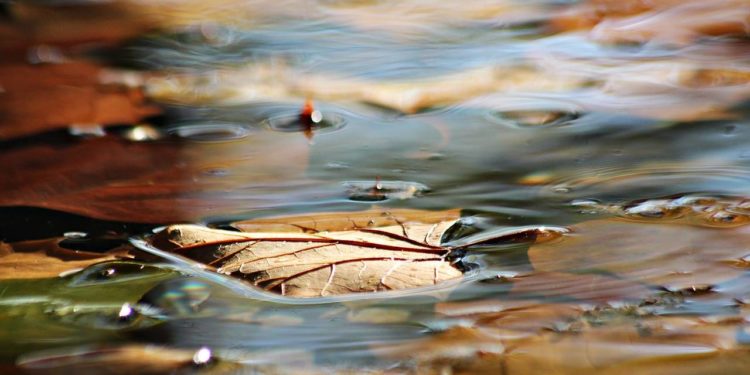 Vermisster Jogger aufgefunden