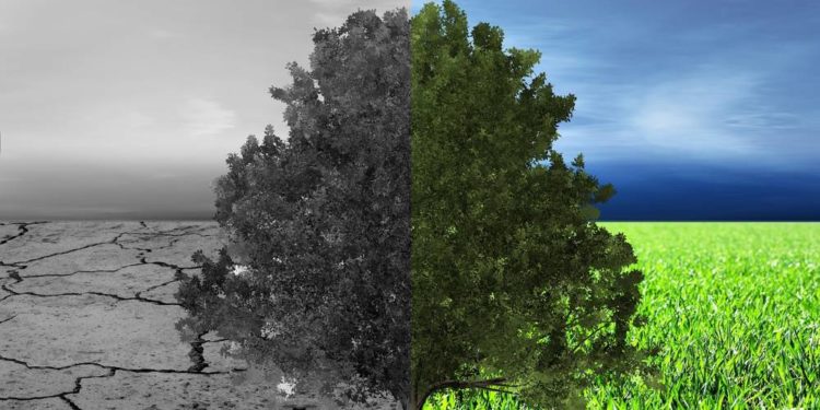 Klima2Go: kostenlose Online-Vortragsreihe