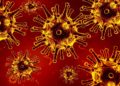 Corona-Bekämpfungsverordnung: Landesregierung setzt weitere Maßnahmen um