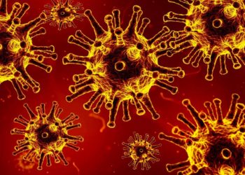 Corona-Bekämpfungsverordnung: Landesregierung setzt weitere Maßnahmen um