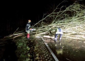 Orkan „Zeynep“ löste einen Einsatz der Freiwilligen Feuerwehr Kittlitz aus
