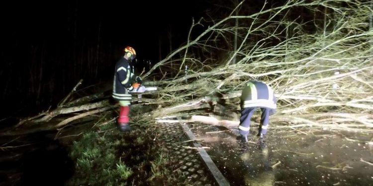 Orkan „Zeynep“ löste einen Einsatz der Freiwilligen Feuerwehr Kittlitz aus