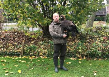 Von Menschen und Vögeln