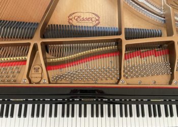 10 Jahre Flügel im Katharinenhaus