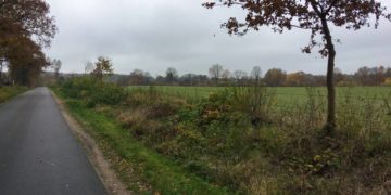 Geplantes Gewerbegebiet in Büchen