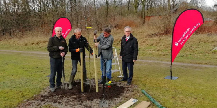 Neue Obstbäume für den Hauptsitz der Kreissparkasse