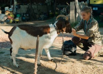„Plötzlich aufs Land“ im Montagskino