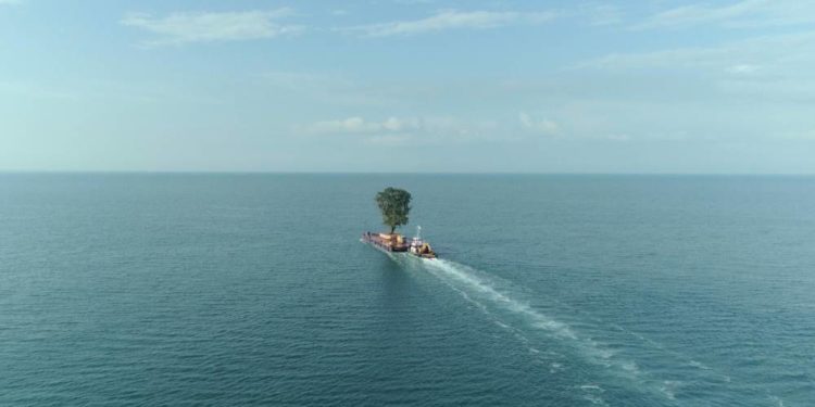 „Die Zähmung der Bäume“ im Kino