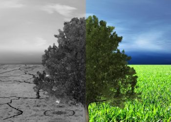 Nach der Ideeneinreichung ist vor dem Klimaschutzkonzept für Mölln