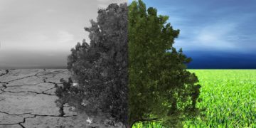 Nach der Ideeneinreichung ist vor dem Klimaschutzkonzept für Mölln