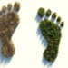 Online-Workshop zum Klimaschutz