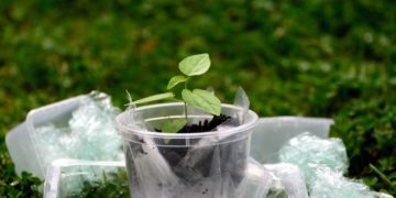 Bundesrat nimmt Initiative zur Änderung der Bioabfallverordnung an