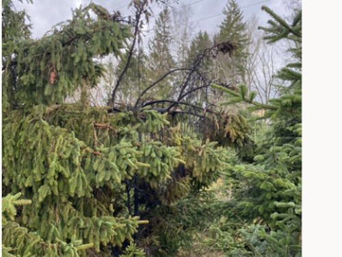 SH Netz verzeichnete mehrere vergleichsweise kleine und kurzzeitige Stromausfälle