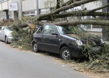 Aktuelle Sturmlagen im Amt Büchen: Eigentümer müssen auf Baumbestand achten